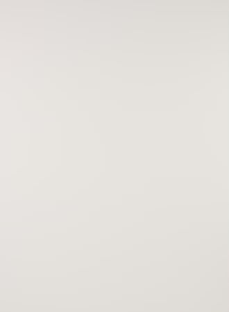 Lis Lareida Mascot Short Sleeve Tee in White - SKULPT Dublin