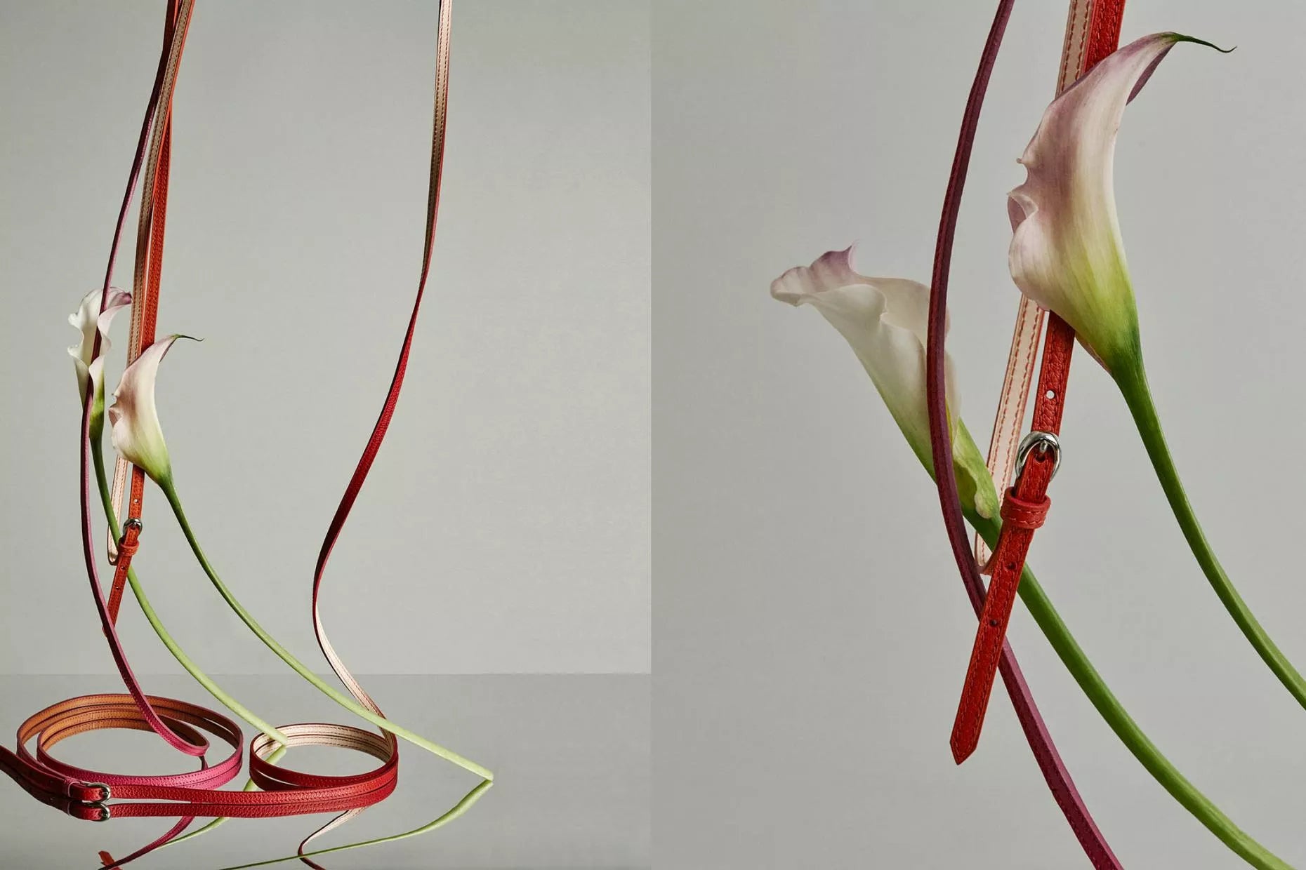 Vaincourt La Malicieuse Double Belt in Red - SKULPT Dublin