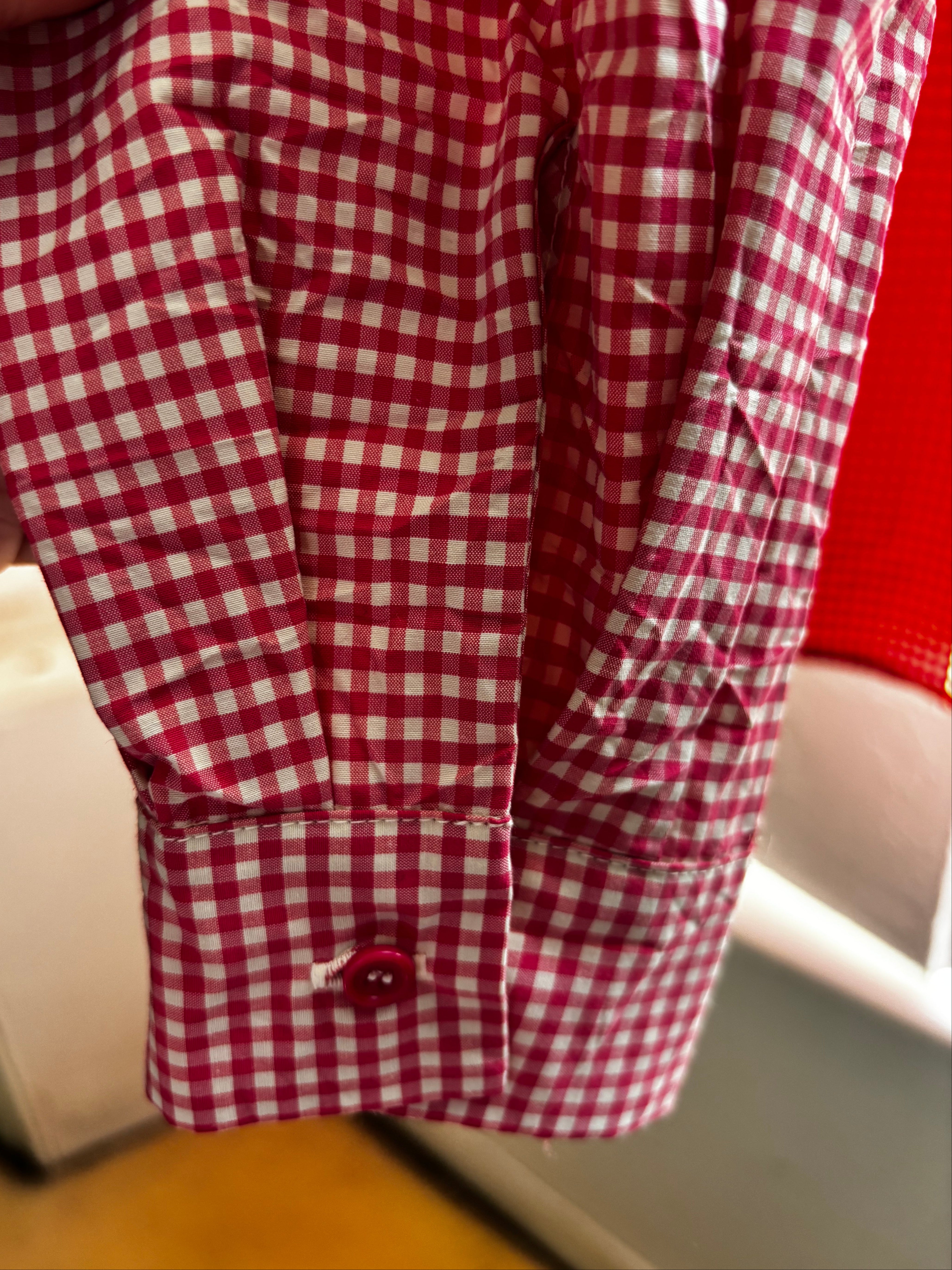 Apuntob Long Sleeve Shirt in Raspberry Gingham - SKULPT Dublin