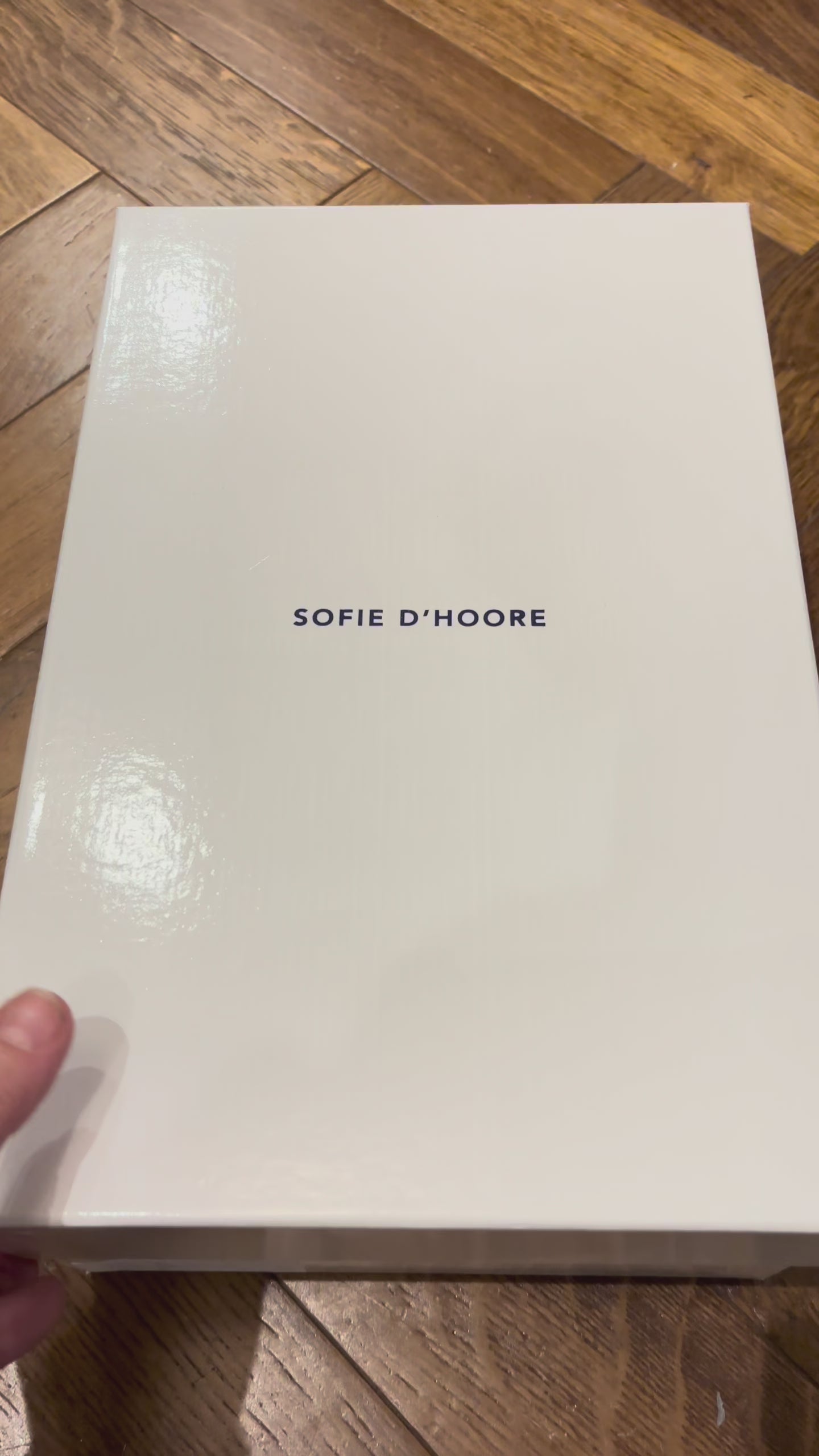 Sofie D'Hoore Sneakers in Chocolate - SKULPT Dublin